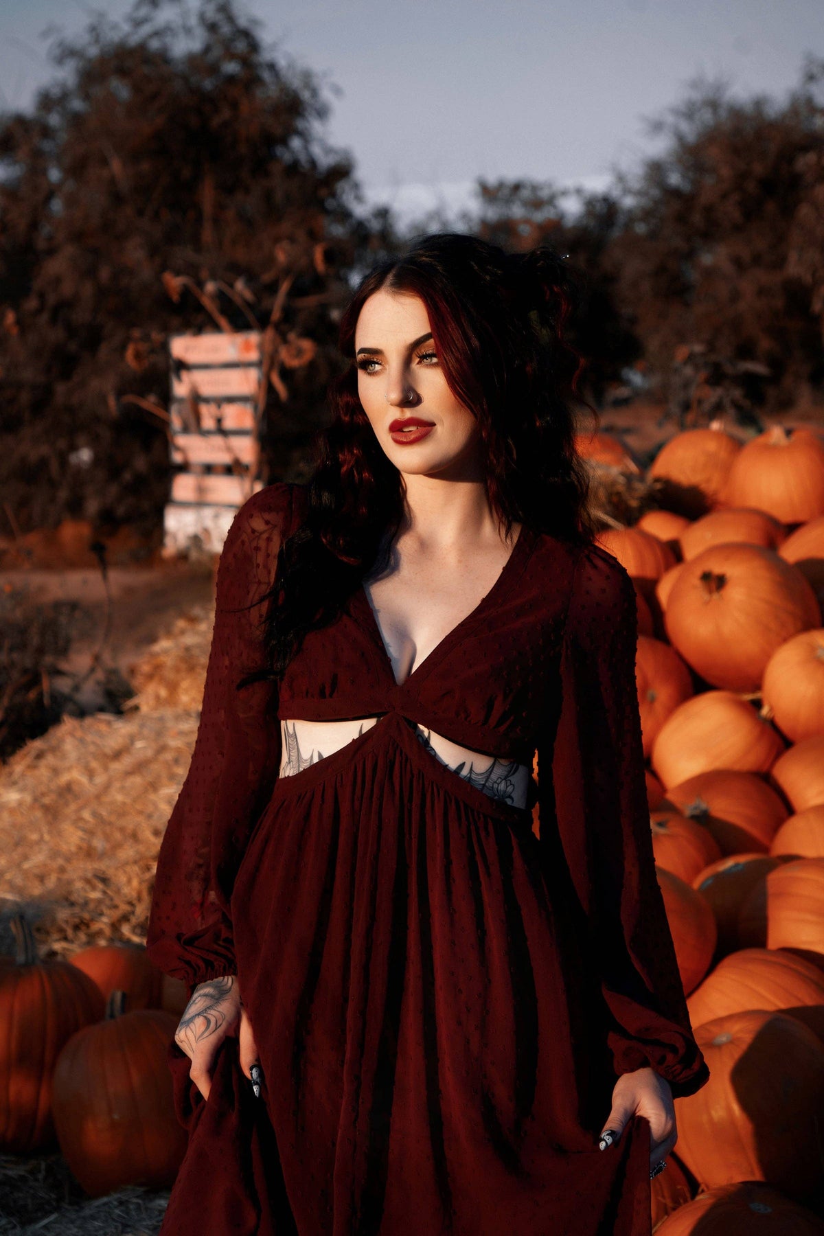 Eclipse Dress in Burgundy by Lively Ghosts